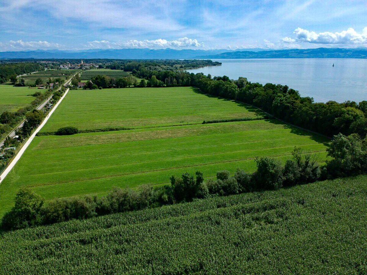 Wohlfuehlloft Seekretzer Mit Privatem Seezugang FDH Buitenkant foto